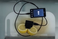 মাত্র একটি পাতিলেবুতেই হবে মোবাইল চার্জ!