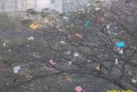 ঘুড়ি নামাতে গিয়ে অকালে প্রাণ গেল কিশোরের