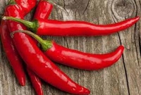 সাবধান, লাল মরিচে কামড় দিয়ে শিশুর মৃত্যু!