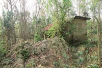  জামাইশূন্য এখন ঘরজামাইপাড়া