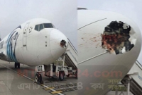 পাখির ধাক্কায় বিমান মারাত্মক ক্ষতিগ্রস্থ!