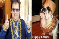 বাপ্পি লাহিড়িকে ব্যঙ্গ করে এ কি করলেন ঋষি কাপুর!