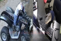 অবাক কাণ্ড, কম্পিউটার শেখা থেকে বাইকে চড়া, মানুষের মত সব কাজ করছে কুমির!