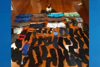 আজব কাণ্ড, মোজা চোর এক বিড়ালের অজানা কাহিনী!