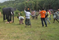 বন্য হাতির তাণ্ডবে ৫জনের মৃত্যু