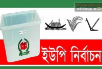 ১১ ইউপিতে ভোট চলছে