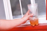 মশা মারার ফাঁদ, কীভাবে বানাবেন জেনে নিন