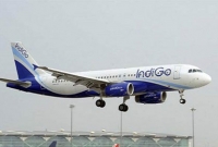 বিমানবন্দরে বোমাতঙ্ক, চলছে ১০ বিমানে তল্লাশি