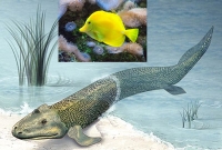 হলফ করে বলতে পারি, এমন মাছ আপনি জীবনেও দেখেননি!