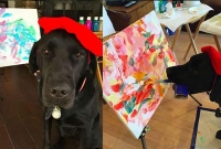 অবিশ্বাস্য, তবুও কুকুরটিই চিত্রশিল্পী!