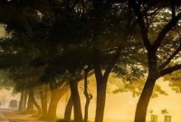 ছুঁয়ে দেখিনি ছুঁয়ে দেখিনি