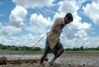 ইনিই এক হাতে ধরেন লাঙল, চালান চার চাকাও!