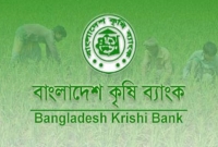 জানালা ভেঙে ব্যাংকে ঢুকলো ডাকাতরা, কি ঘটল তারপর?