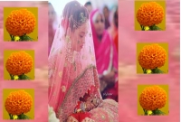 প্রেম করে বিয়ে নয়, দেখেশুনে সম্বন্ধ বিয়ের ৫টি সুবিধা