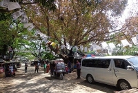 চাঁপাইনবাবগঞ্জ সদর উপজেলায় চেয়ারম্যান পদে ৫৪ প্রার্থী