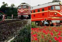 সেলফি তুলতে গিয়ে ঘটলো বিপত্তি