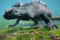 সিনেমা নয়, প্রশান্ত মহাসাগরে সন্ধান মিলল সত্যি এক ‘গডজিলা’র!