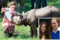 সুদূর ভারতে এসে হাতি-গণ্ডার ছানাকে দুধ খাওয়ালেন ব্রিটিশ রাজদম্পতি