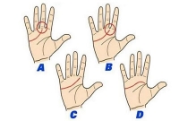 আপনি কেমন মানুষ? হাতের এই রেখা দেখেই বুঝে নিন