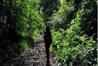 ভয়ঙ্কর জঙ্গলে নিরস্ত্র সাহসী এক নারীর গল্প, শুনলে চমকে যাবেন!