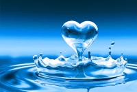 পানি আগে না পৃথিবী আগে? জেনে নিন সঠিক উত্তর