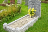 এবার অবাক হবেন, বাবার কবরের ভেতর ঢুকে ছেলের আত্মহত্যা!