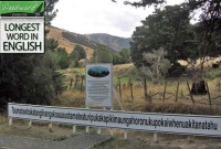 বিশ্ব রেকর্ড গড়া ইংরেজি সবচেয়ে বড় শব্দগুলো কি আপনার জানা আছে?