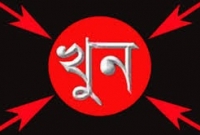 ভাইয়ের হাতে ভাই খুন