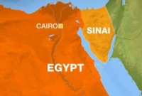 সরকারবিরোধী বিক্ষোভকে সামনে রেখে মিসরে ব্যাপক ধরপাকড়