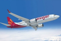 মাঝ-আকাশে বিমানসেবিকার নিরালা সেবায় চাকরি হারালেন পাইলট