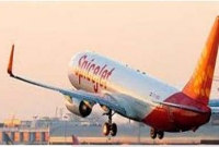 সুন্দরী বিমানবালাকে পাইলটের সিটে বসিয়ে চাকরি গেল বিমানচালকের