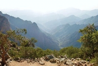 বিবি আমিনার দেশে বিবি আমিনার দেশে