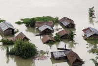 বন্যায় ৪৫ হাজার মানুষ ক্ষতিগ্রস্ত, তলিয়ে যাচ্ছে জমির ফসল