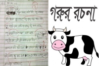 মনে পড়ে সেই গরুর রচনার কথা?