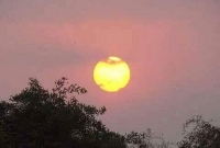 একটি ভোর