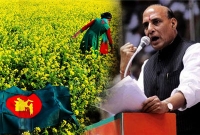 বাংলাদেশিদের নাগরিকত্ব দিবে ভারত বাংলাদেশিদের নাগরিকত্ব দিবে ভারত