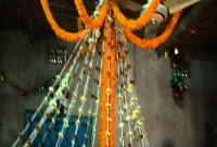 বাসরঘরের ফুল শুকানোর আগেই ধরা খেলেন লাকুরতলার বর