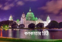 দয়া করে আমাকে চোর বলবেন না