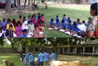 ঝড়ে লণ্ডভণ্ড ক্লাসরুম, প্রচণ্ড গরমে গরু চড়ানো মাঠে শিশুদের পাঠদান!
