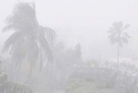  আল্লাহর কি কুদরত, প্রচণ্ড তাপদাহেও ঘন কুয়াশা!