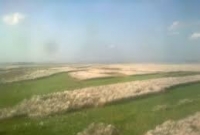 আধা অন্ধের অক্ষি কাঁচ আধা অন্ধের অক্ষি কাঁচ