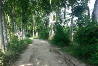 সাপ মেরে ঘুমাতে পারছেন না গ্রামবাসী