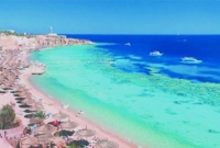 কাদা-পানিতে মিলছে কোটি কোটি ডলারের সোনা!