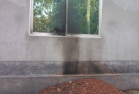 আ.লীগ ও ছাত্রলীগ নেতাদের বাড়িতে ৪টি পেট্রোল বোমা নিক্ষেপ