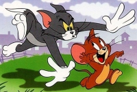 ‘টম অ্যান্ড জেরি’র জন্য মধ্যপ্রাচ্যে যুদ্ধ! এ-ও কি সম্ভব?