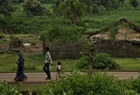 এই গ্রামে প্রতিদিন একজন করে আত্মহত্যা করেন! এই গ্রামে প্রতিদিন একজন করে আত্মহত্যা করেন!