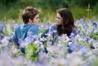 ছেলে না মেয়ে “আই লাভ ইউ” কথাটা কে প্রথমে বলেন?