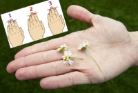 হাতের আঙুল দেখে মানুষ চিনবেন কীভাবে?