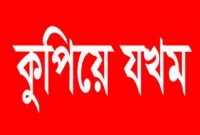 পাঁচ টেলিভিশন সাংবাদিককে কুপিয়ে গুরুতর জখম