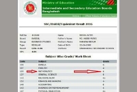 গণিত পরীক্ষা না দিয়েই এসএসসিতে পাস